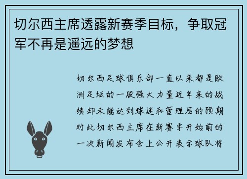 切尔西主席透露新赛季目标，争取冠军不再是遥远的梦想