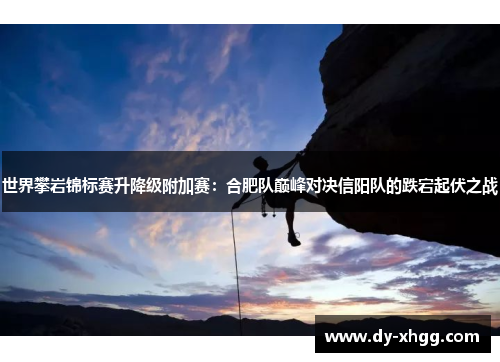世界攀岩锦标赛升降级附加赛：合肥队巅峰对决信阳队的跌宕起伏之战